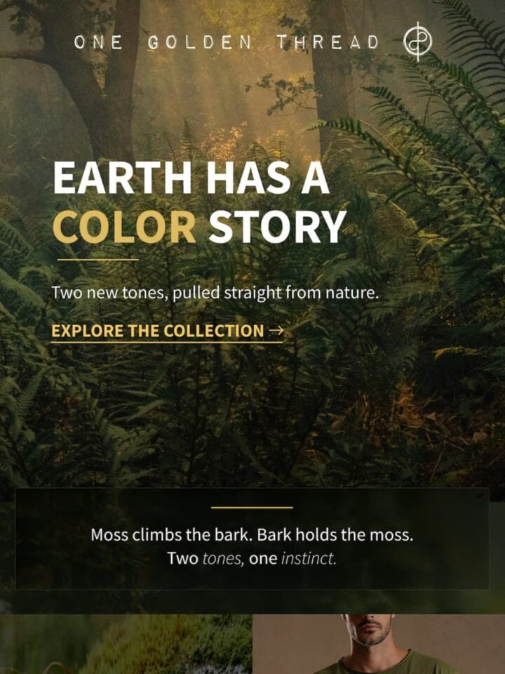 No Thumbnail Set