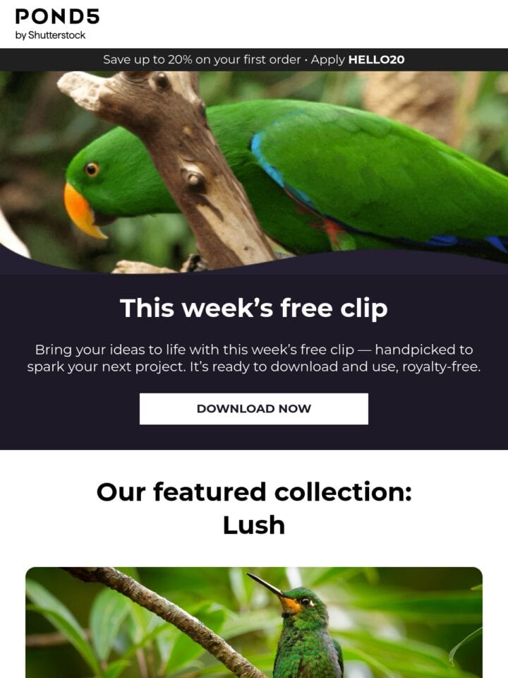 No Thumbnail Set