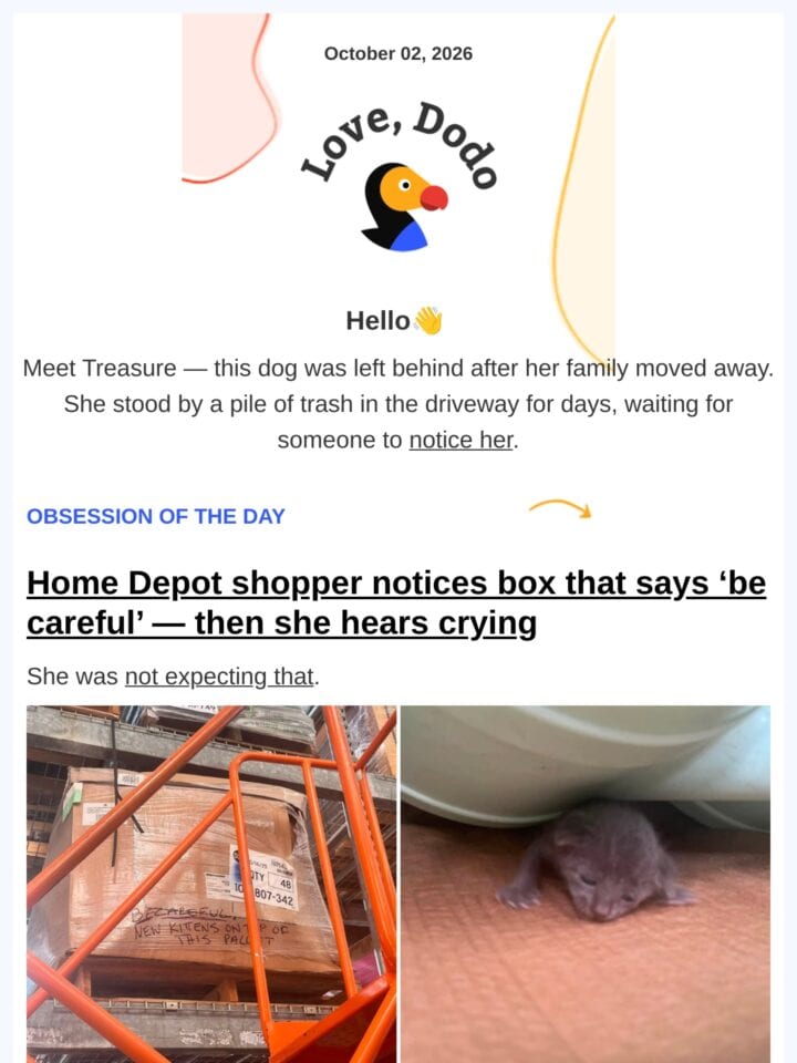 No Thumbnail Set
