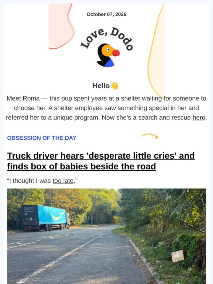 No Thumbnail Set
