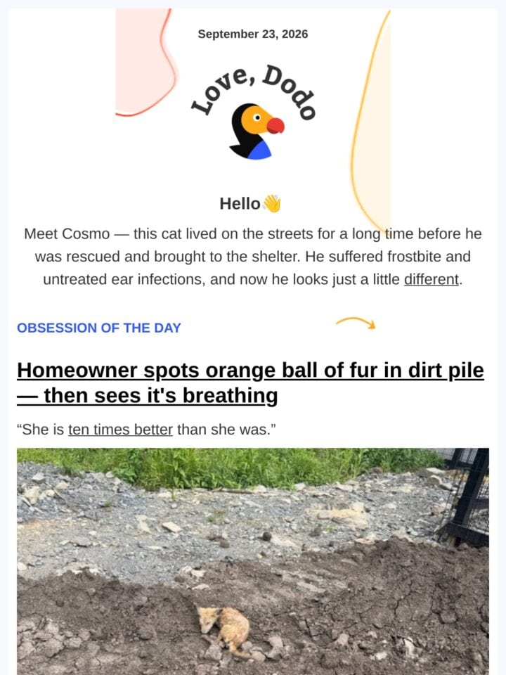 No Thumbnail Set