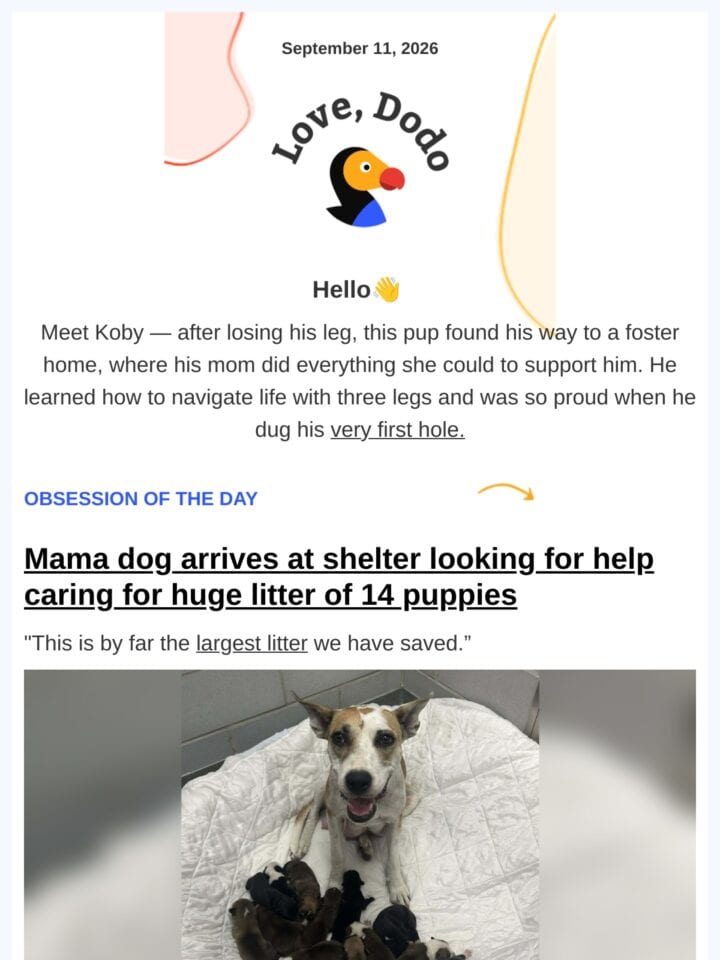 No Thumbnail Set