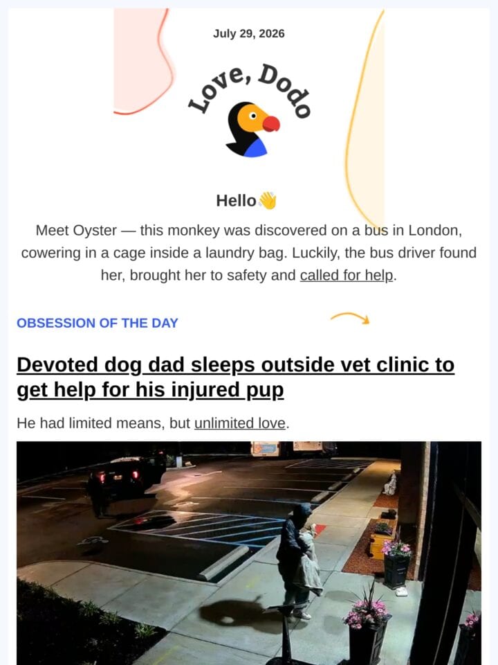 No Thumbnail Set