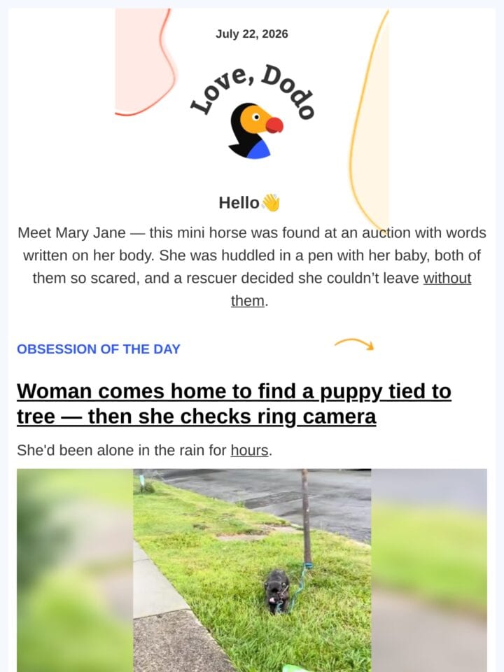 No Thumbnail Set
