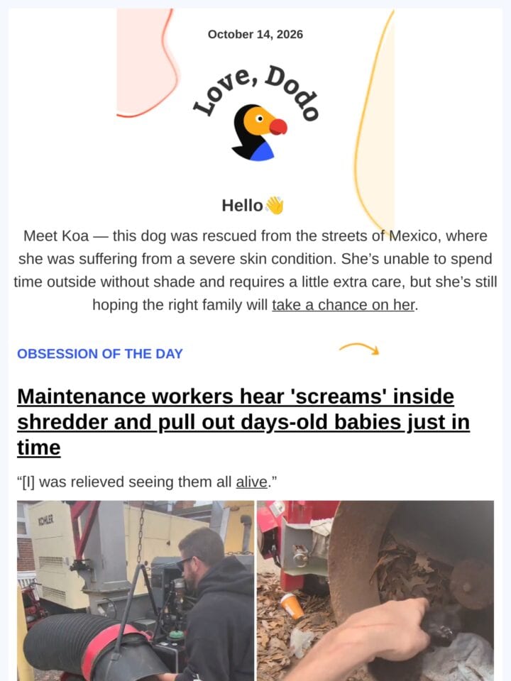 No Thumbnail Set