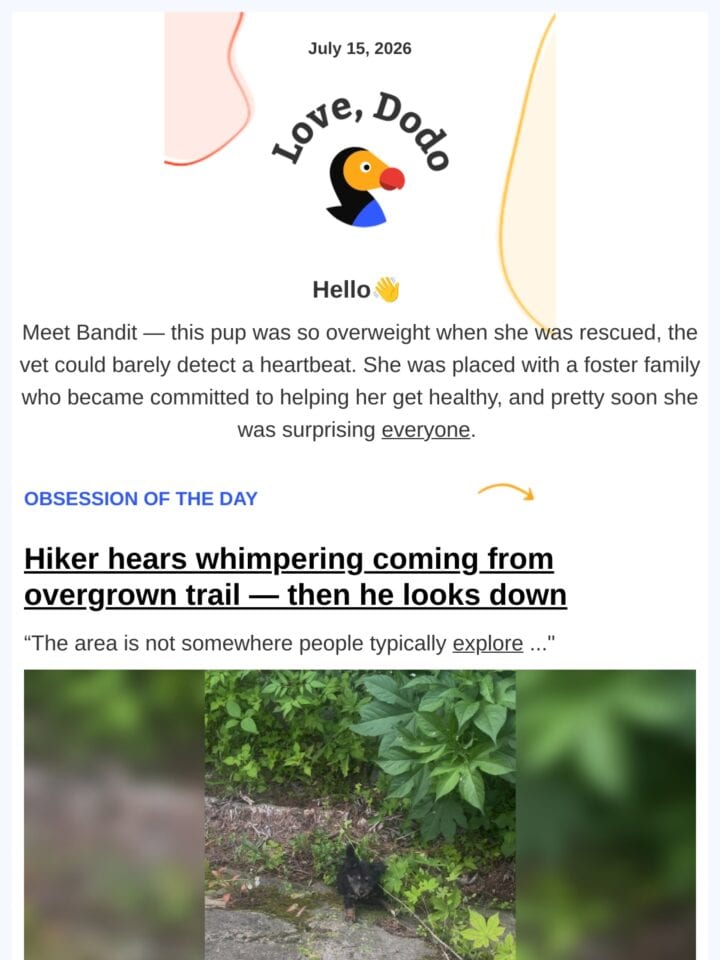 No Thumbnail Set