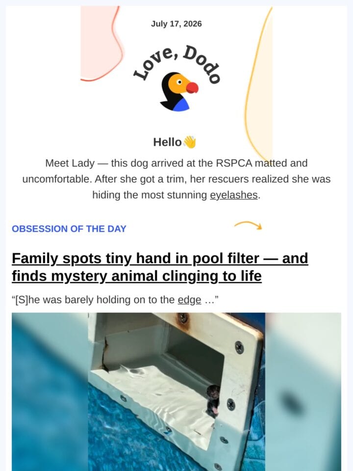 No Thumbnail Set