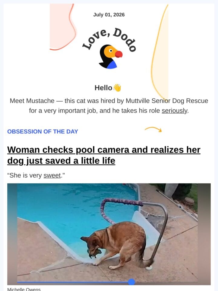 No Thumbnail Set