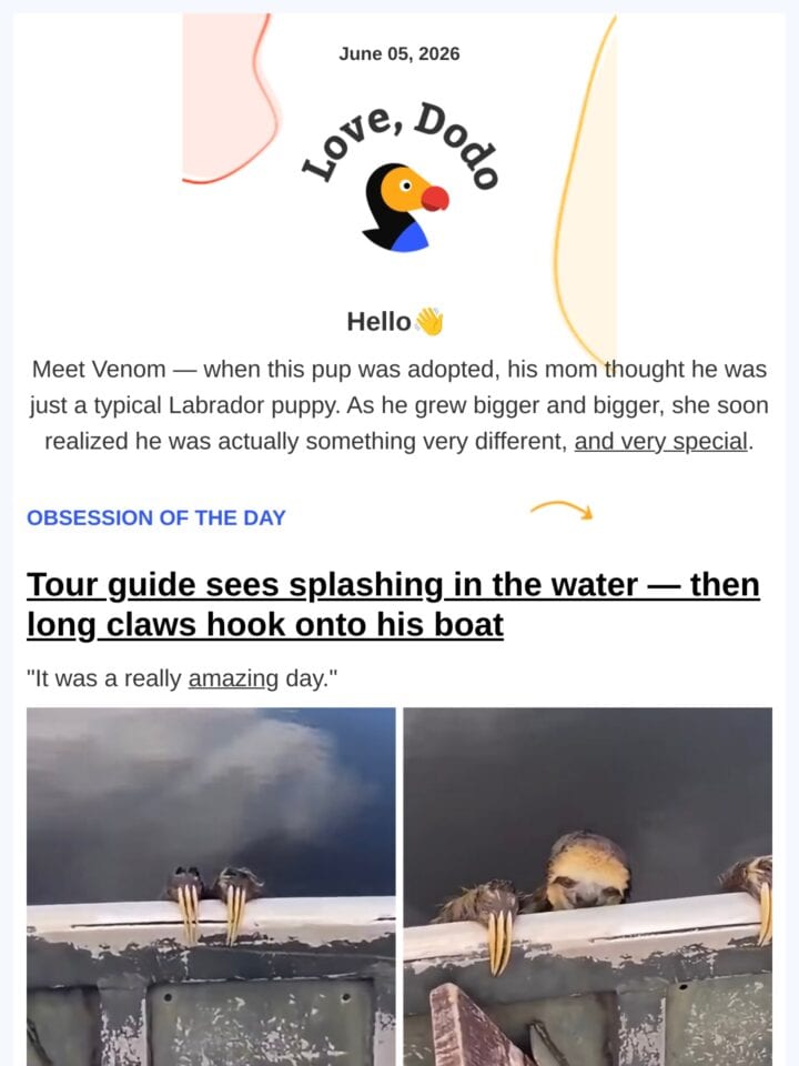 No Thumbnail Set