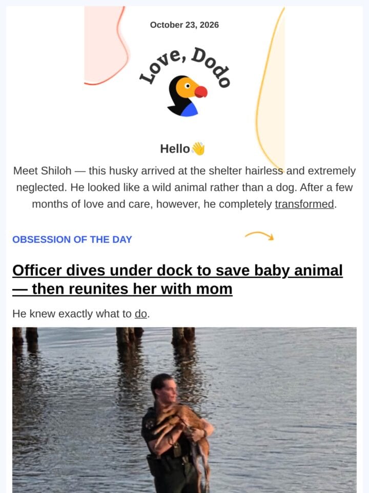 No Thumbnail Set