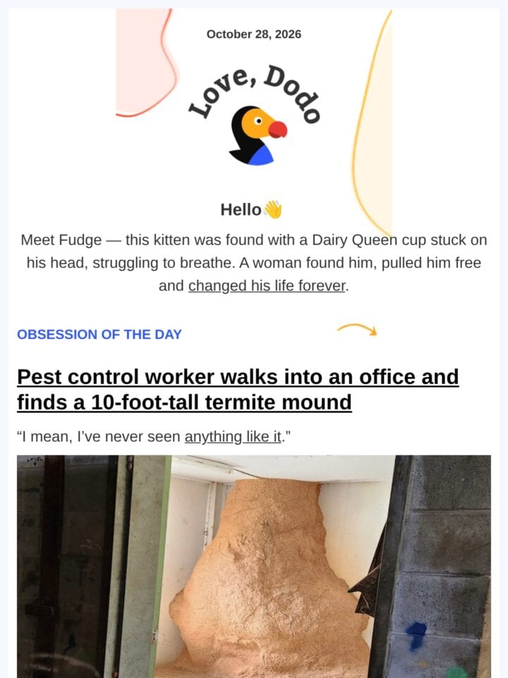 No Thumbnail Set
