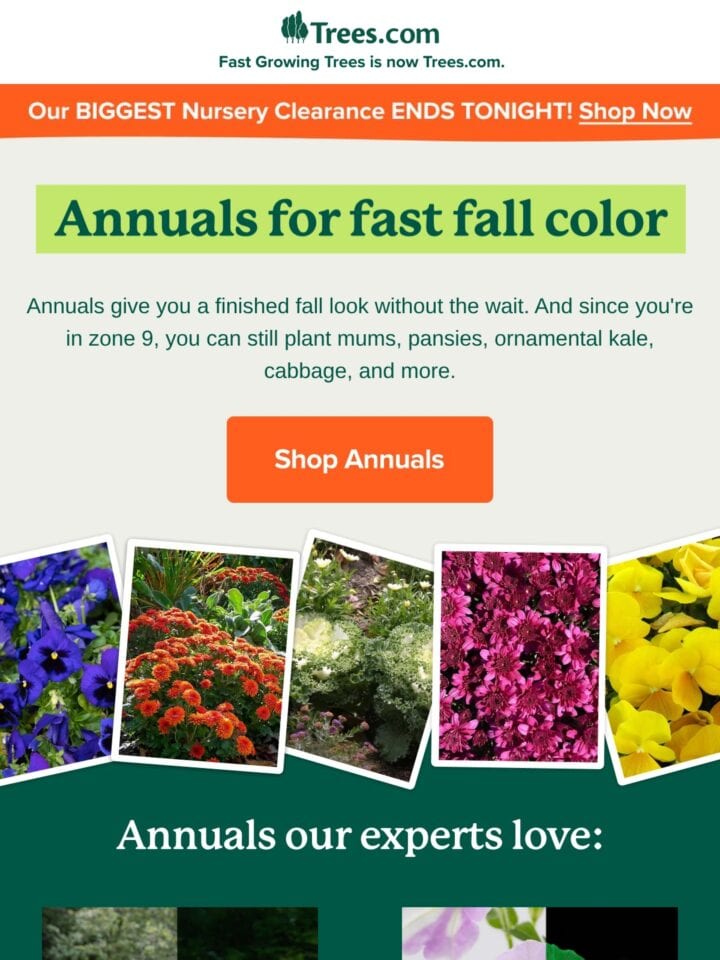 No Thumbnail Set