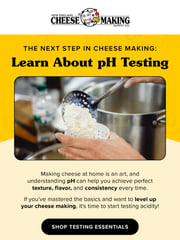 Email Inspiration from Cheesemaking