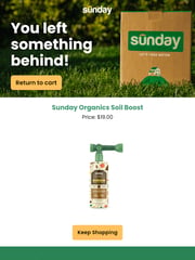 Email Inspiration from Sunday