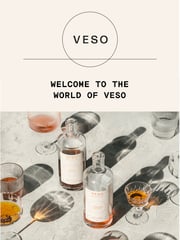 Email Inspiration from Veso