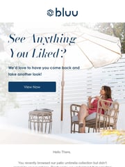 Email Inspiration from Bluu