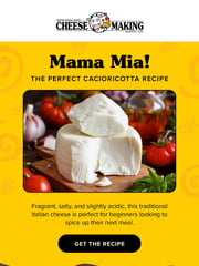 Email Inspiration from Cheesemaking
