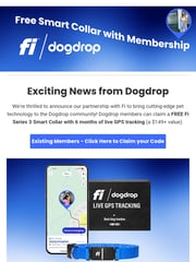 Email Inspiration from Dogdrop Team