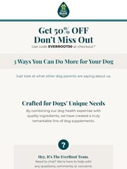 Email Inspiration from EverRoot