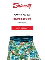 Email Inspiration from guardian.angel@shinesty.com