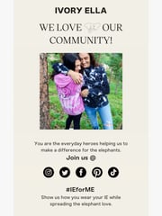 Email Inspiration from Ivory Ella