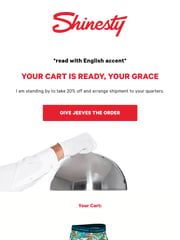 Email Inspiration from jeeves@shinesty.com