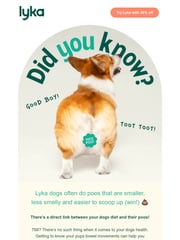 Email Inspiration from Lyka Pet Food