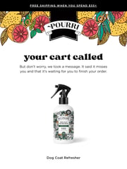 Email Inspiration from ~Pourri