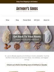 Email Inspiration from Anthony's Goods