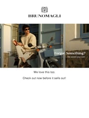 Email Inspiration from Bruno Magli