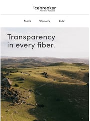 Email Inspiration from icebreaker