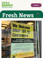 Email Inspiration from City Harvest