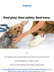 Email Inspiration from Dogdrop