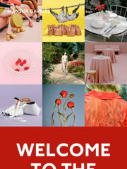 Email Inspiration from MANSUR GAVRIEL