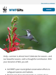 Email Inspiration from WWFGifts Catalog