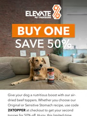 Email Inspiration from Elevate Pet