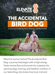 Email Inspiration from Elevate Pet