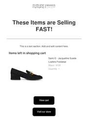 Email Inspiration from FutureBrandsGroup