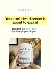 Email Inspiration from L A N D I S H