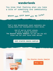 Email Inspiration from Wanderlands Snacks