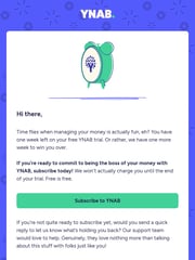 Email Inspiration from YNAB