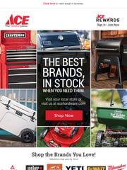 Email Inspiration from Ace Hardware