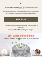 Email Inspiration from HomeHaven