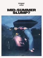Email Inspiration from Proper Wild