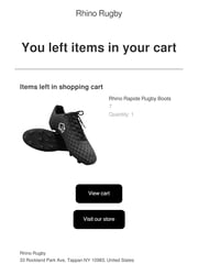 Email Inspiration from Rhino Rugby