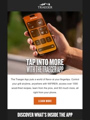 Email Inspiration from Traeger