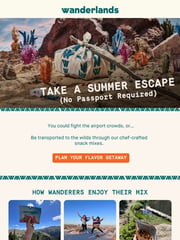 Email Inspiration from Wanderlands Snacks