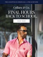 Email Inspiration from Collars & Co.