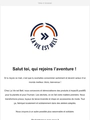 Email Inspiration from La Vie est Belt