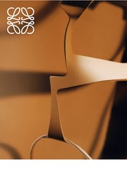 Email Inspiration from LOEWE